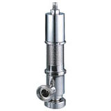 Safety Valve