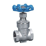 Stainless Female Thread Gate Valve