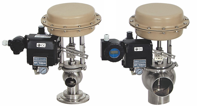 DS Sanitary Pneumatic Diaphragm Control Valve Health