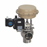 DS Sanitary Pneumatic Diaphragm Control Valve Health