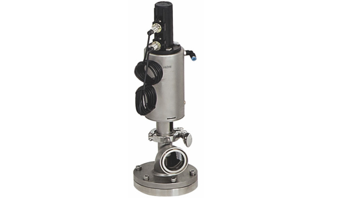 DG Tank Bottom Valve